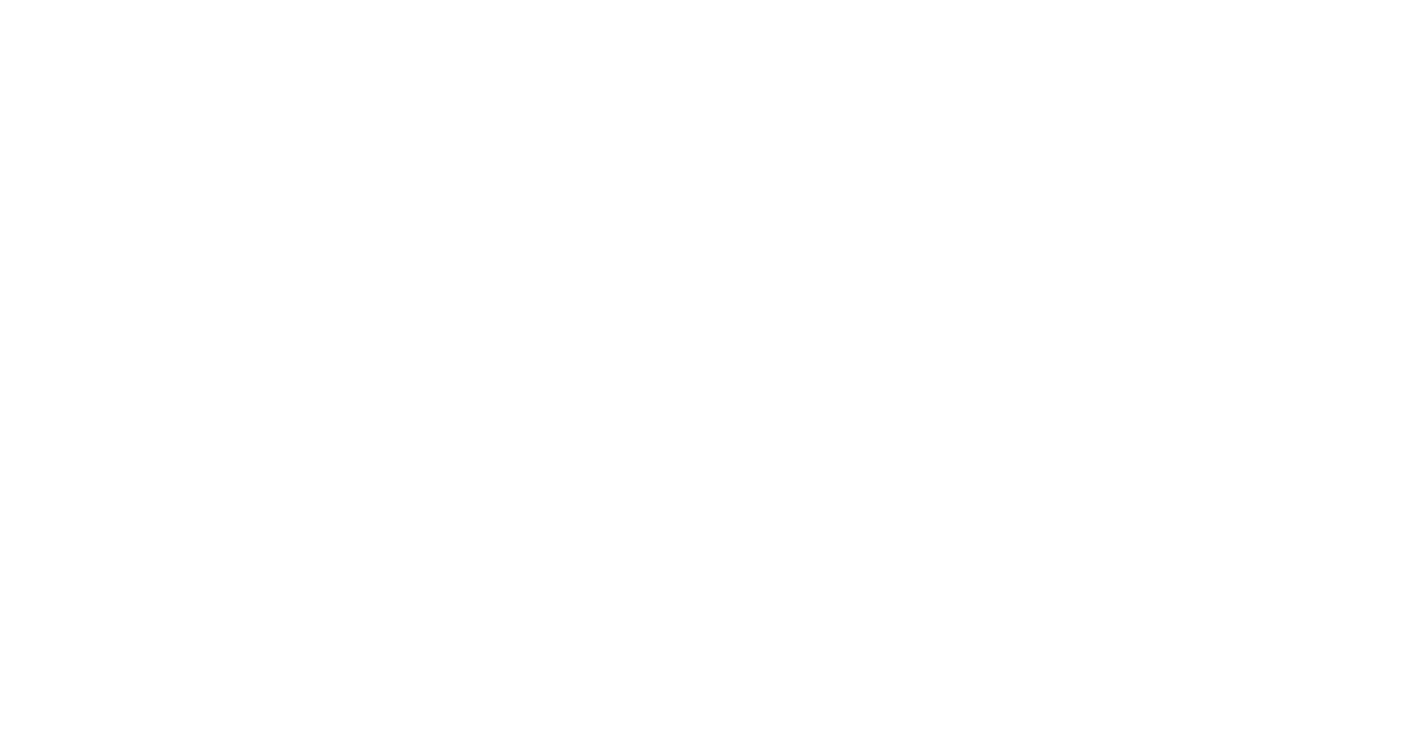 logo light