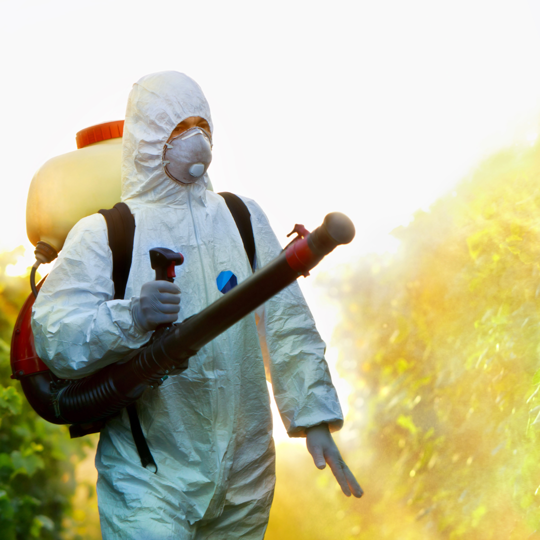 Defensa contra plagas y enfermedades en agricultura ecológica - AGAU007PO