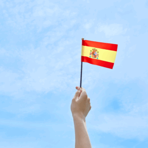 Español elemental para extranjeros - FCOL002PO