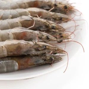 Preelaboración y conservación de pescados, crustáceos y moluscos (UF0064)