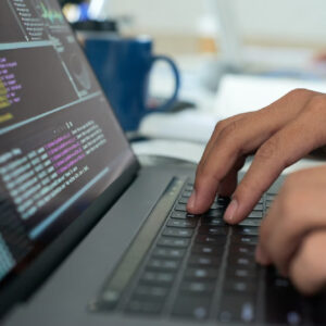 Desarrollo de servicios web (IFCD031PO)