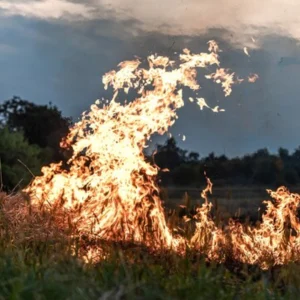 Investigación de incendios forestales (AGAR002PO)